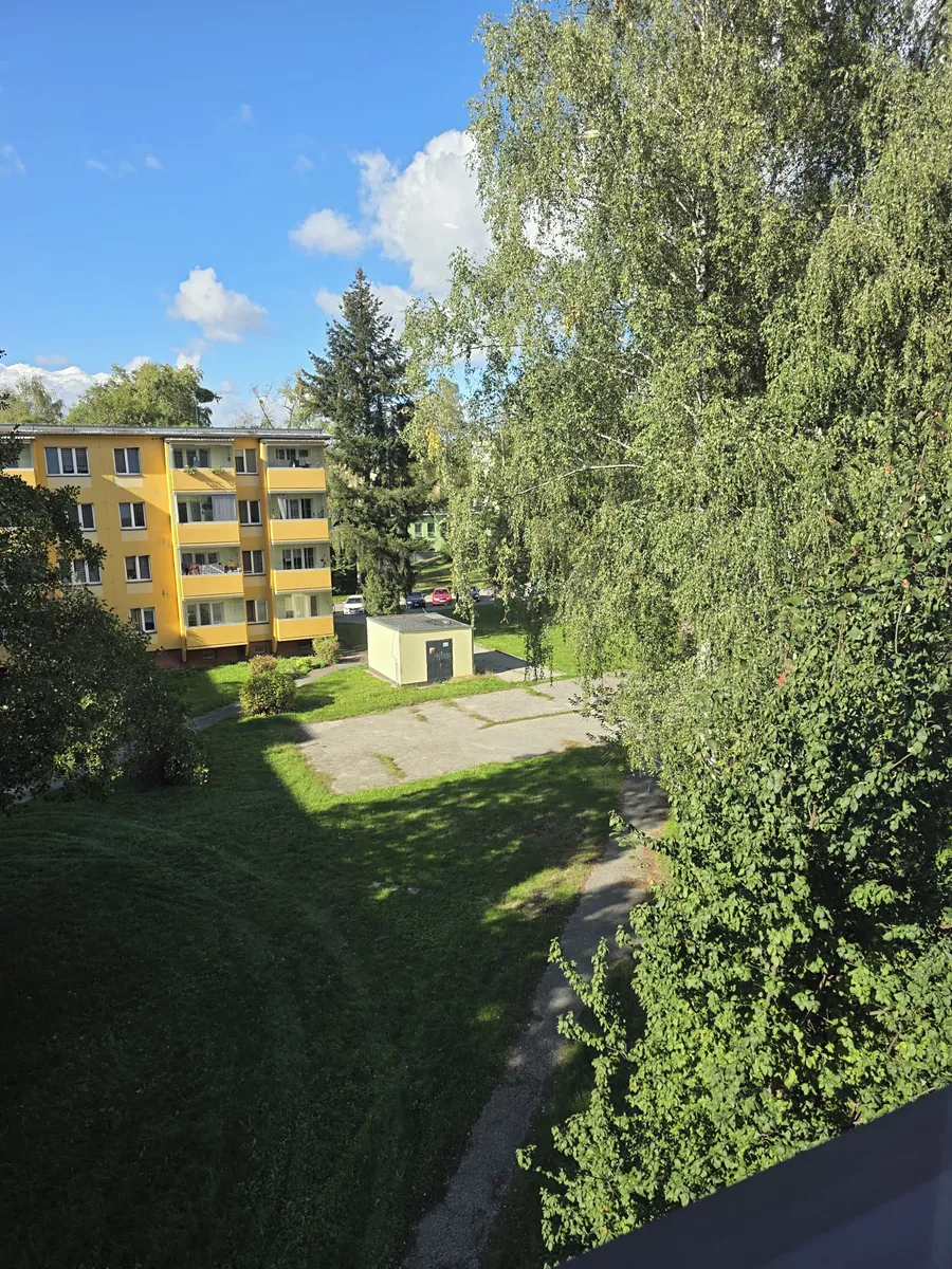 Fotka 14 z 16